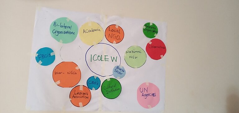 ALESBA actors mapping during workshop