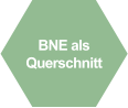 BNE als Querschnitt