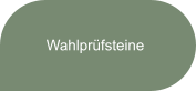 Wahlprüfsteine
