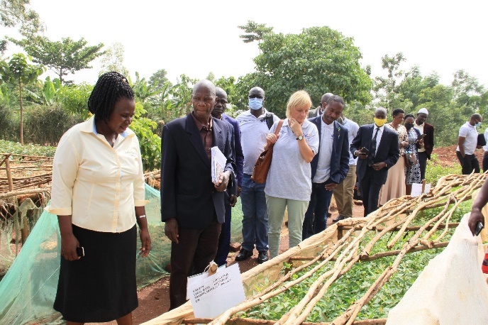 Agricultural exercise area, CLC Namayingo District